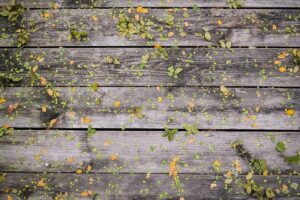 American continent: URGENT: A current geopolitical problem in the Americas is the increasing influence of China in the region, especially concerning Latin America and the Caribbean. With the Belt and Road Initiative, China has expanded its investments in