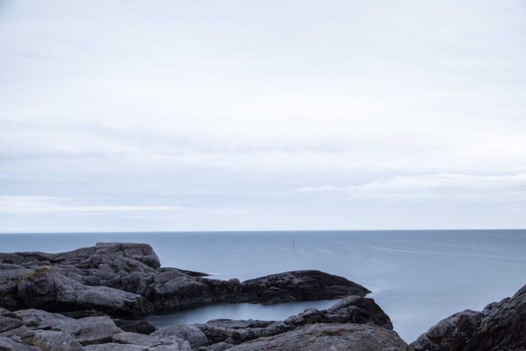 Challenges and Progress in Public Security Mark the Landscape of the Americas