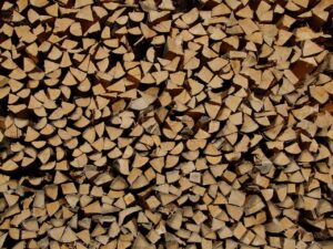 Continente americano: The Importance of Biofuels in Brazil’s Energy Transition
