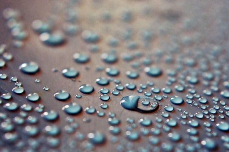 Modelo brasileiro utiliza Inteligência Artificial e protege ecossistemas marinhos.