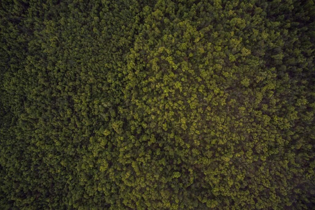 Mercosul e Canadá aceleram acordo de livre comércio em negociações avançadas