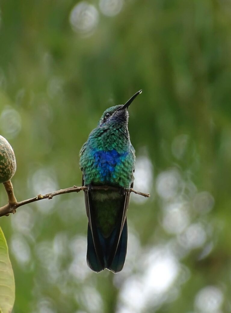 Eleições na Colômbia revelam avanço do conservadorismo na América Latina