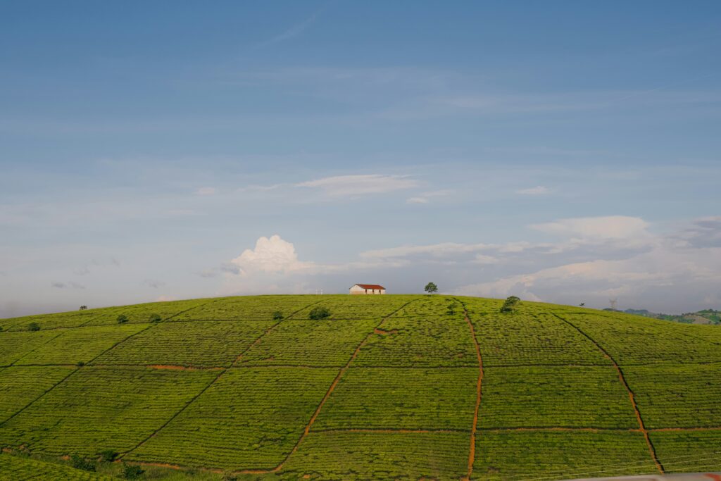 Round Hill, na Jamaica, atrai brasileiros para famtour durante a LE Miami