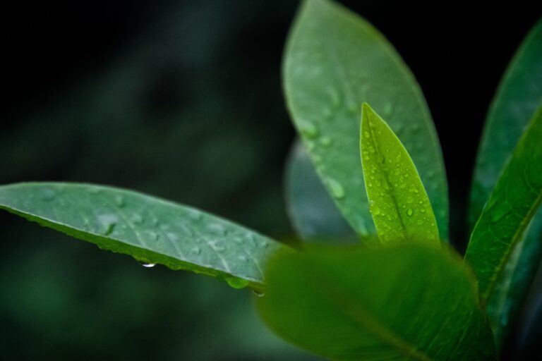 As Veias Ainda Abertas da América: Quem Se Beneficia da Nossa Riqueza?