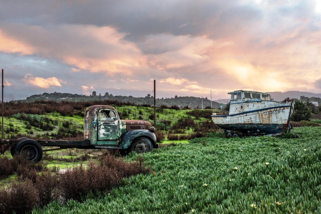 🌎 Americas: Changing Cultural and Lifestyle Trends